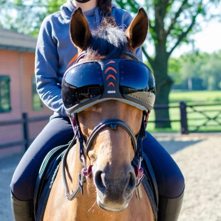What is good protection for a horse?