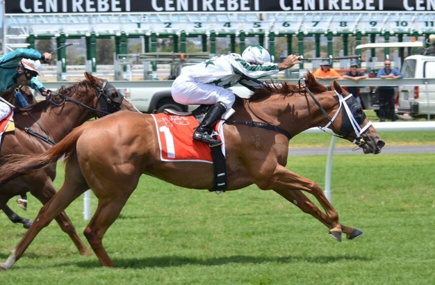 horses, racing,Leopardstown and Doncaster Racecourse Stakes