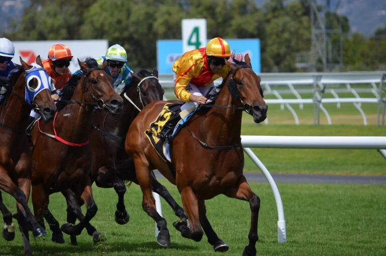 A Closer Look Ay St Leger Festival Doncaster Racecourse