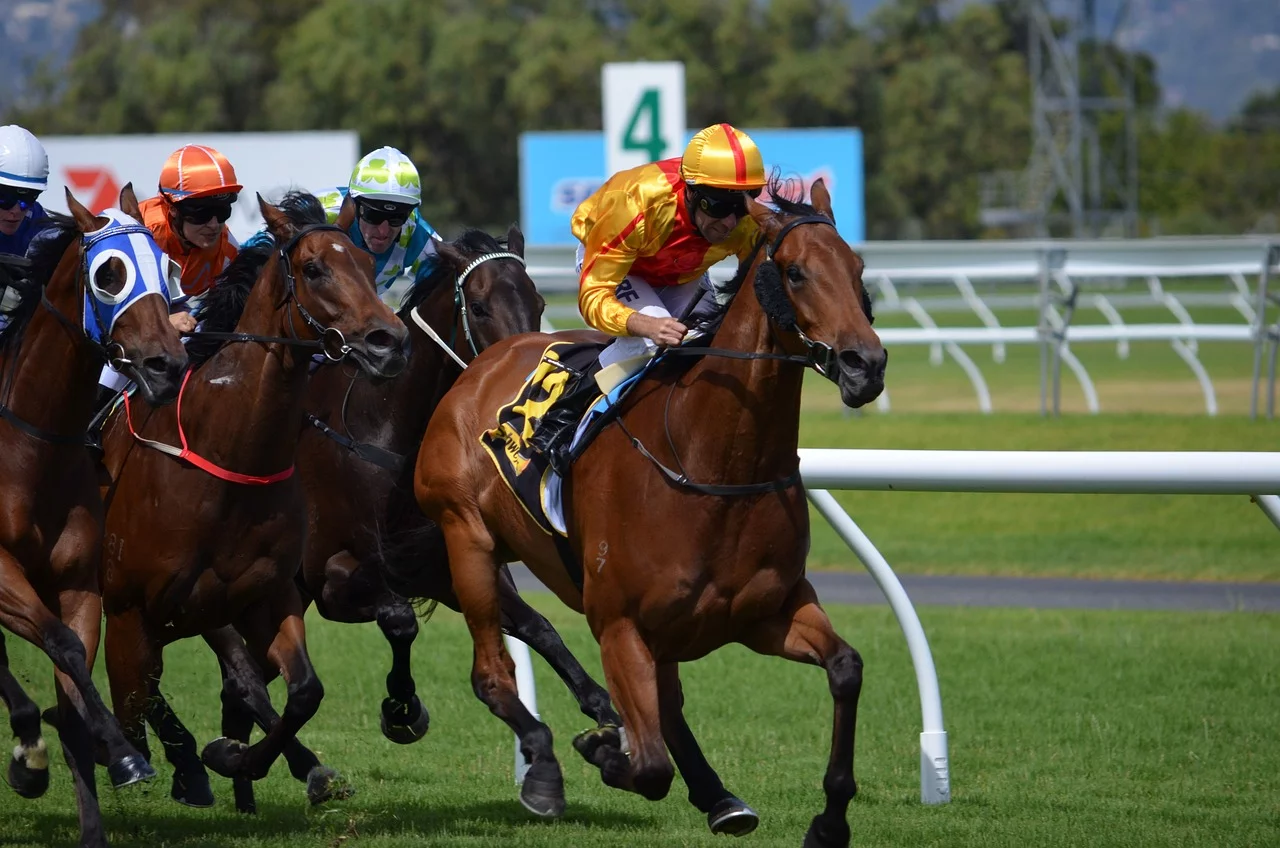 horses, racing, jockey-Festival at Doncaster