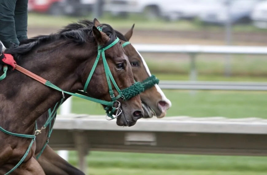 St. leger Festival Weekend Events