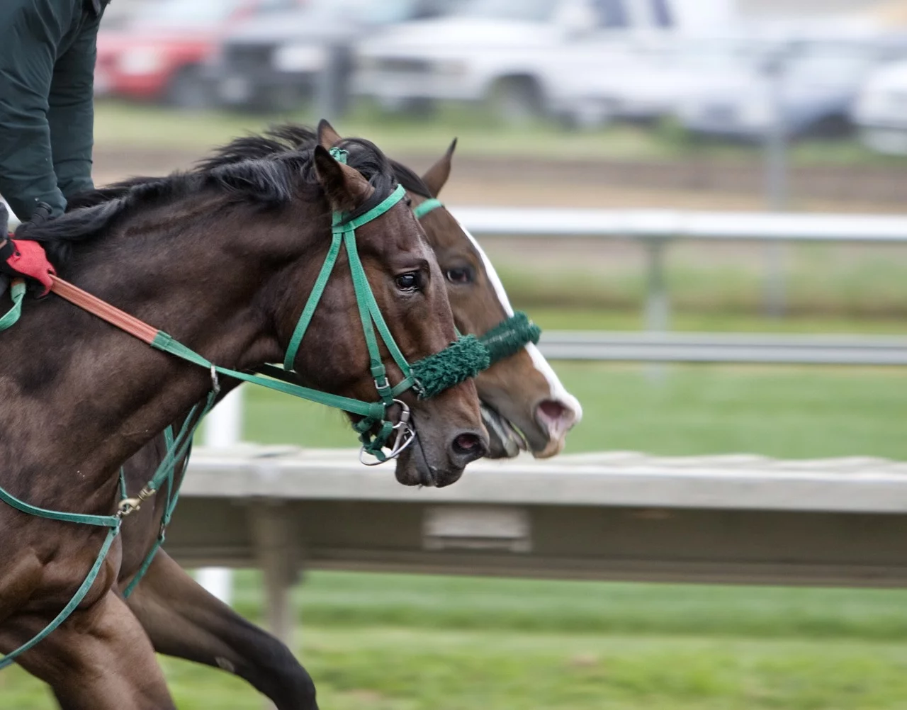 St. leger Festival Weekend Events
