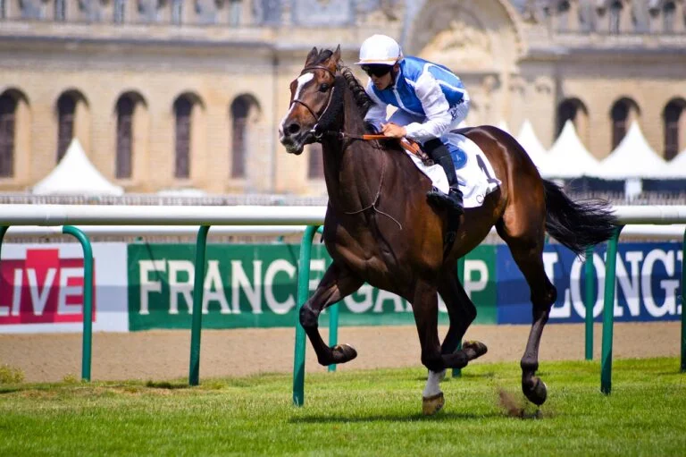 Predictions for horse racing events Newbury and Ayr