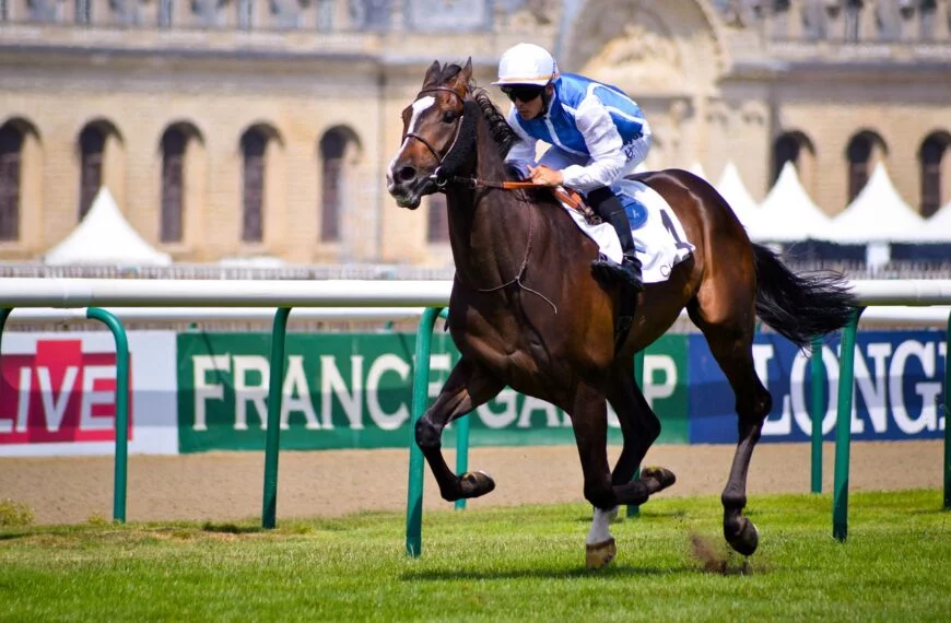 jockey, Ed Quigley's Predictions