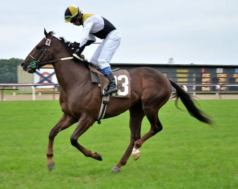 Market Rasen UK Racecourse Stakes & Newmarket Racecourse